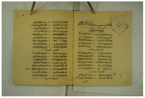الفقرات المذهبة وزينة المسائل الملقبة
